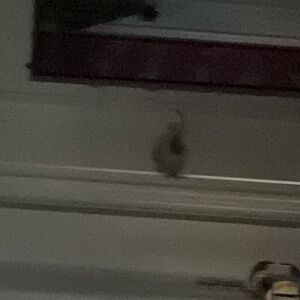 Gray Fuzzy Cat Figurine